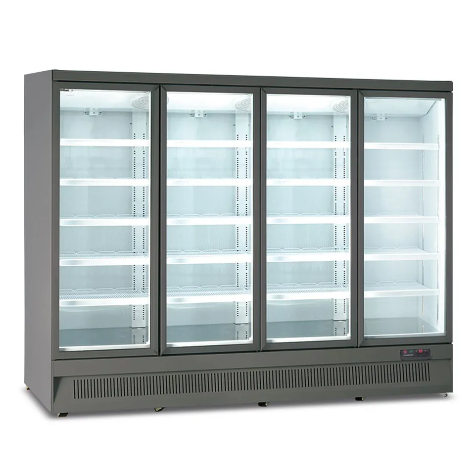 horekus-kmr250-p-g-vitrine-murale-grise-no-frost image 1