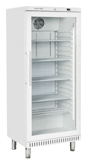 cool-head-europe-abs-byg-460-armoire-r-frig-r-e-vitr-e-600x400 image 1