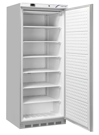cool-head-abs-qnx-600-armoire-cong-lateur-600-l-inox image 1