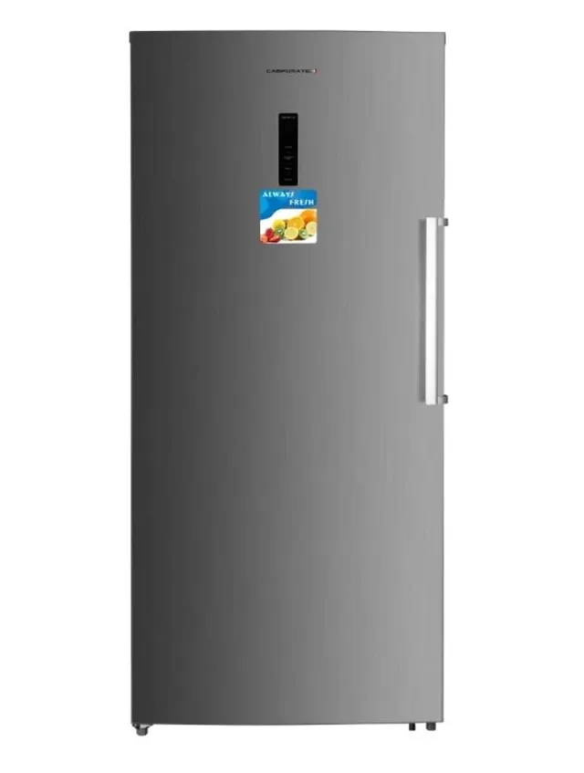 campomatic-frz83rx-cong-lateur-armoire-600l-inox-no-frost image 1