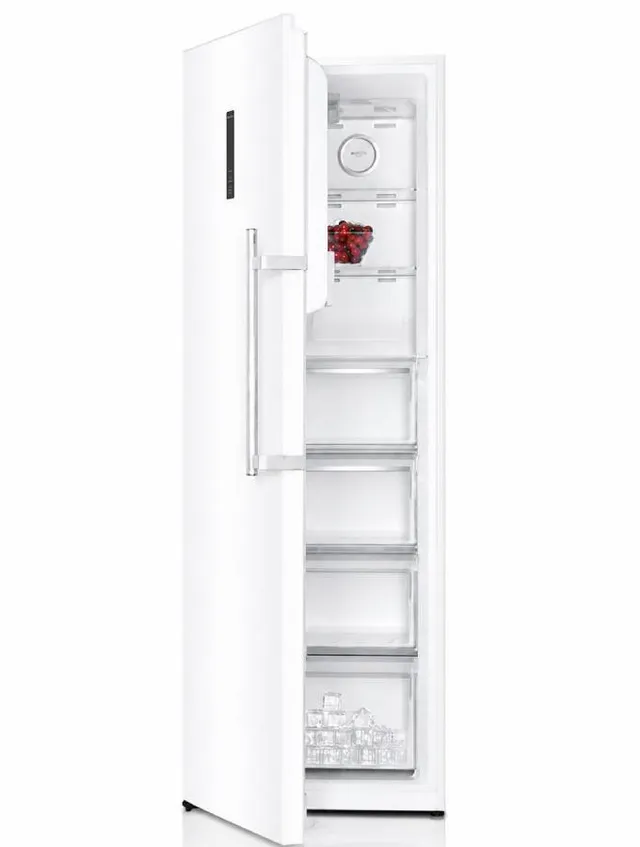 campomatic-refrigeration-frz500rw-cong-lateur-coffre-blanc image 1