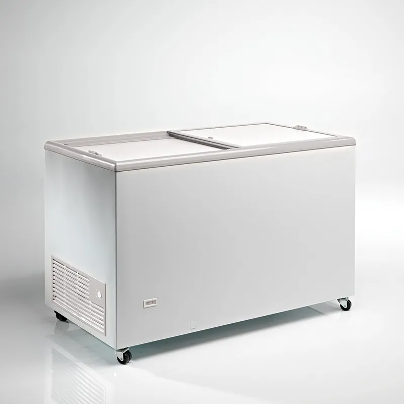 corequip-fr-o-ice400-cong-lateur-coffre-325-l-opaque image 1
