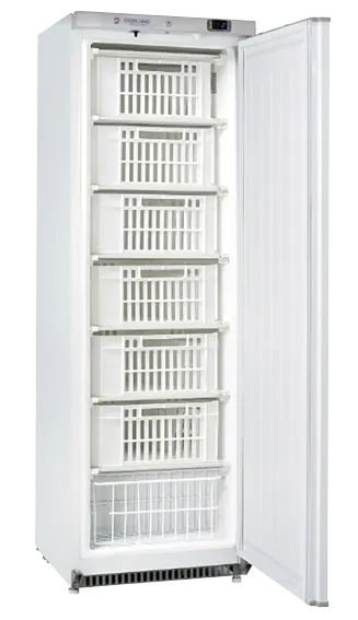 cool-head-abs-cn-407-armoire-cong-lateur-400-l-classe-a image 1