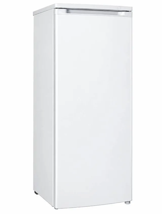 campomatic-refrigeration-frz220w-cong-lateur-armoire image 1