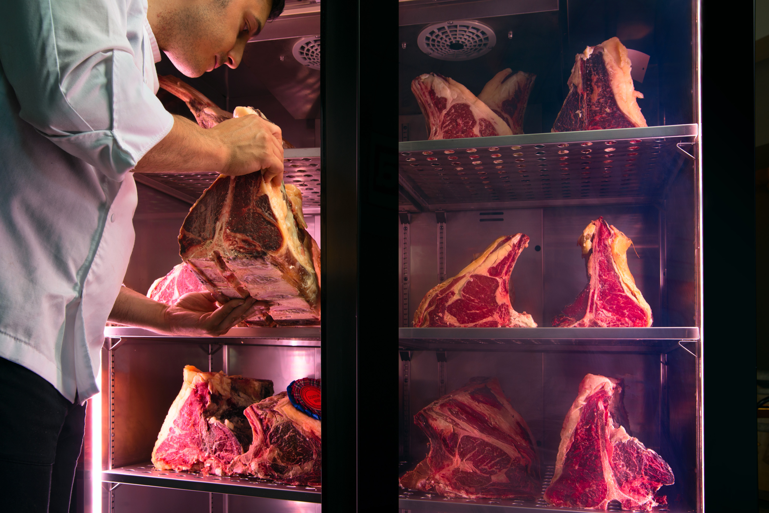 horekus-carne-kager300-wall-vitrine-viande-murale image 3